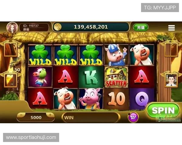 优质老虎机备用平台合作，助力游戏运营持续稳定发展